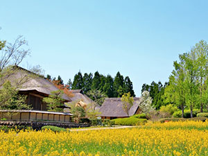 みちのく湖畔公園