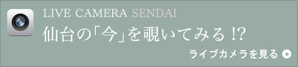 LIVE CAMERA SENDAI　仙台の「今」を覗いてみる！？　ライブカメラを見る