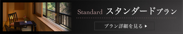 スタンダードプラン
