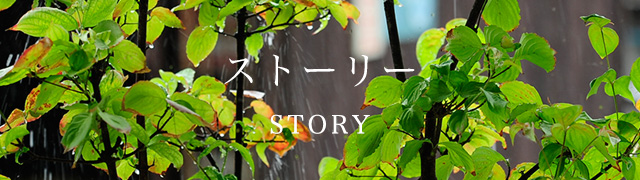 ストーリー